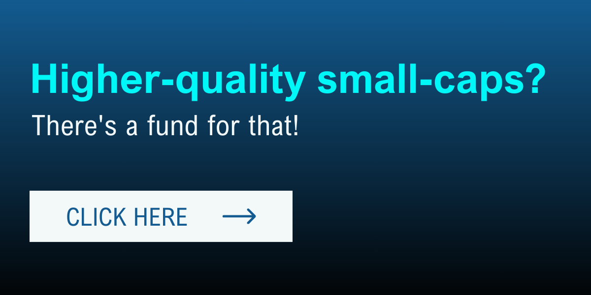 High-quality small-cap fund